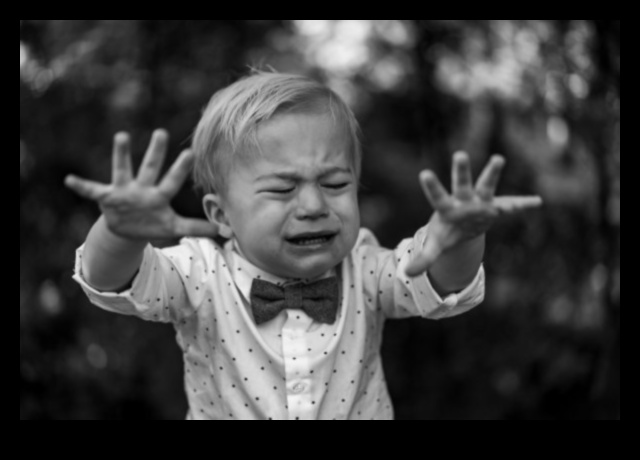 Încadrarea viitorului: crearea de povești vizuale în fotografia digitală