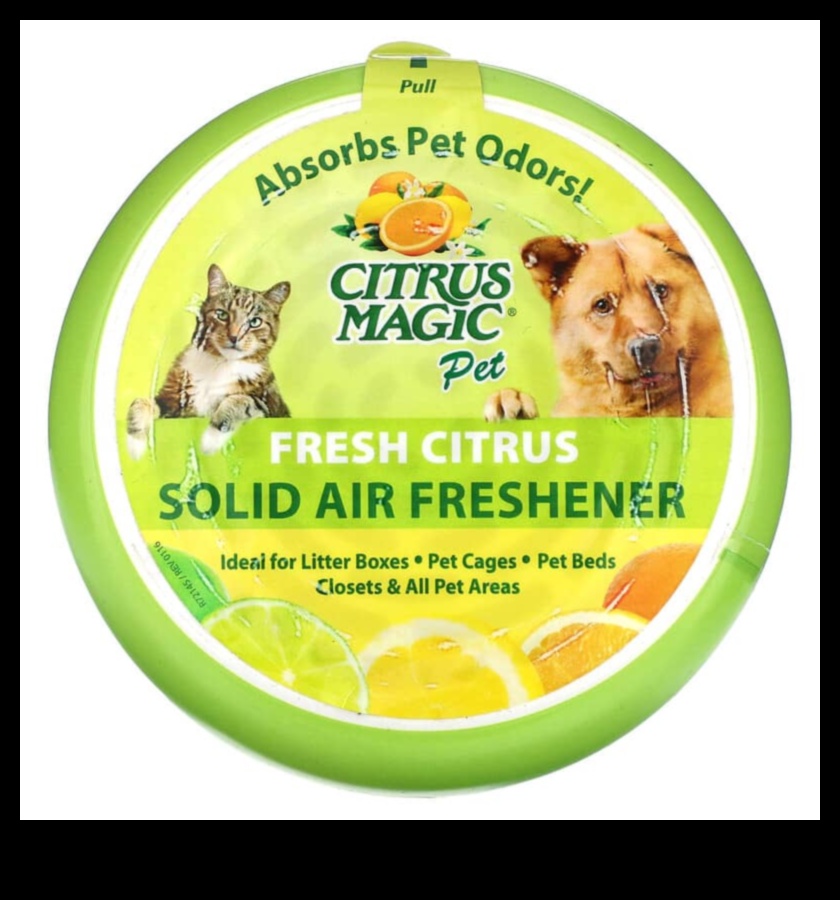 Citrus Magic: Deblocați secretele bunăstării în fiecare înghițitură de suc de morcovi și portocale