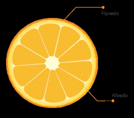 Citrus Magic: Deblocați secretele bunăstării în fiecare înghițitură de suc de morcovi și portocale