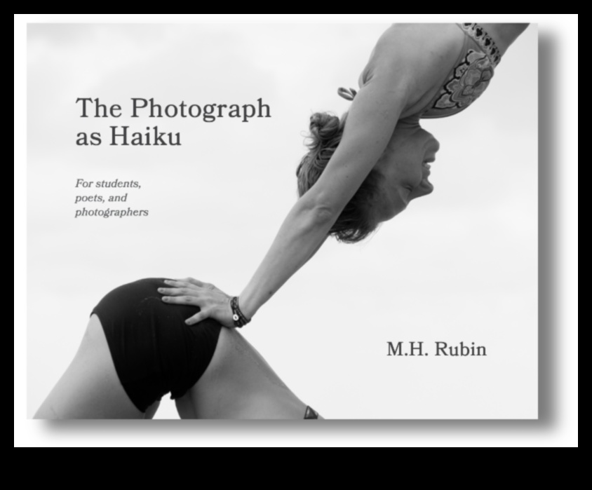 Poezie picturală Surprindeți momentul cu fotografia vizuală Haiku 2 Poezie picturală: crearea haiku-urilor vizuale în fotografie