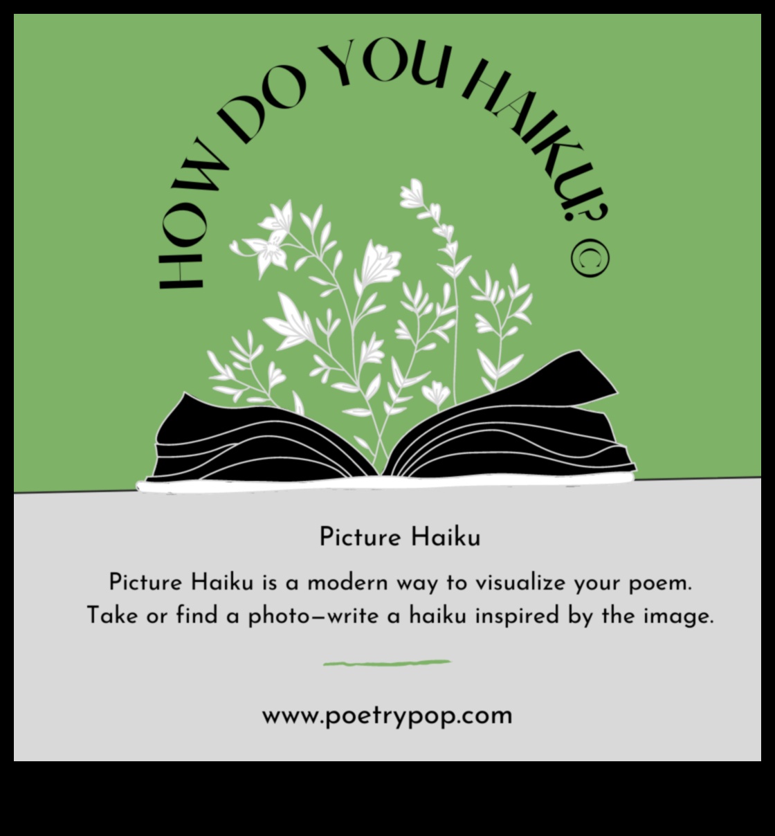 Poezie picturală Surprindeți momentul cu fotografia vizuală Haiku 3 Poezie picturală: crearea haiku-urilor vizuale în fotografie