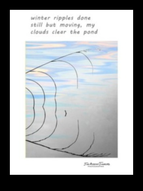 Poezie picturală Surprindeți momentul cu fotografia vizuală Haiku 5 Poezie picturală: crearea haiku-urilor vizuale în fotografie