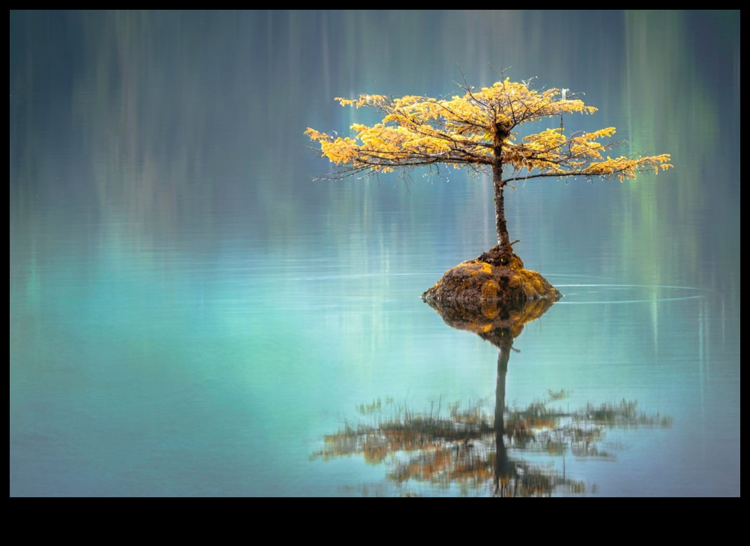 Reflecții Rafinate Cum să captezi o fotografie cu apă uluitoare 4 Reflections Refined: Tehnici pentru fotografierea cu apă uimitoare