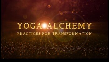 Asana Alchemy: Magia transformatoare a meditației yoga