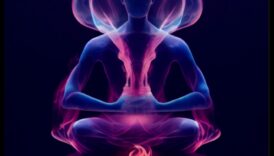 Din Antichitate până în prezent: meditația durabilă