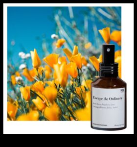 Retragere energizantă: crearea de momente de revitalizare cu ceai de ghimbir