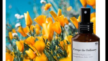 Retragere energizantă: crearea de momente de revitalizare cu ceai de ghimbir