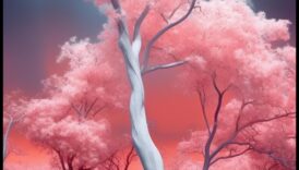 Explorări eterice: Scene de altă lume în fotografia naturii