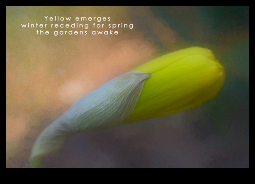 Poezie picturală Surprindeți momentul cu fotografia vizuală Haiku 1 Poezie picturală: crearea haiku-urilor vizuale în fotografie