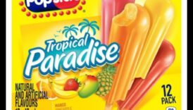Popsicle Paradise Racorește-te cu smoothie-urile tale preferate 1 Popsicle Paradise: Transformă-ți smoothie-urile preferate în delicii înghețate