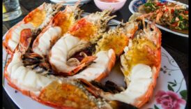 Serile epicuriene O călătorie culinară de delicii 2 Serile epicuriene: Excelență culinară cu plăceri de cină